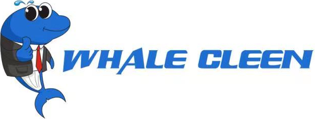 Environmental ultrasonic baths-Guangdong blue whale brand